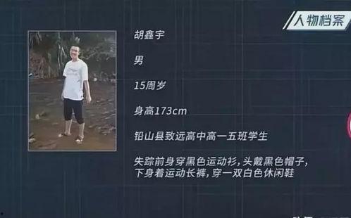 新闻爆料失踪案例最新,追踪最新未解之谜，揭开失踪者命运之谜  第3张
